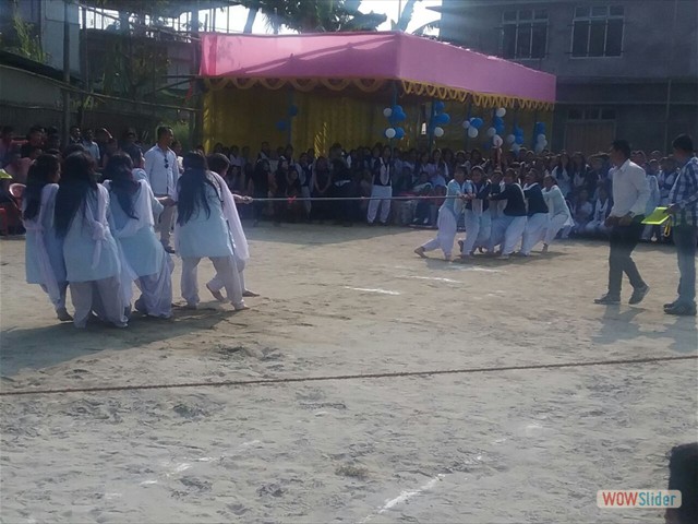 Tug of War Game